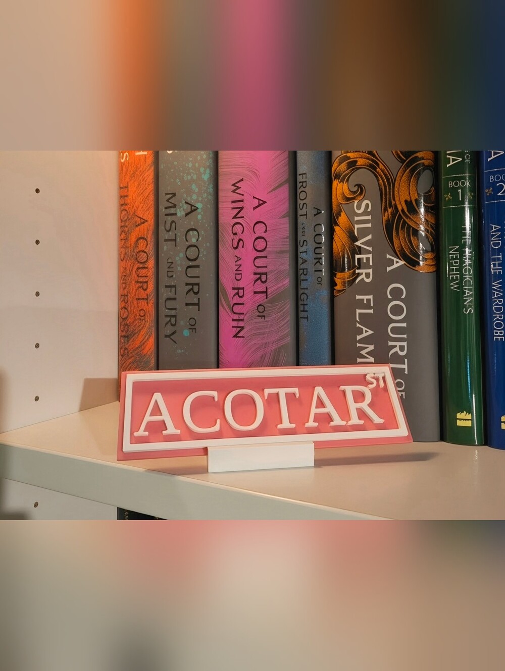 Acotar Display With Stand (3d Printed)
